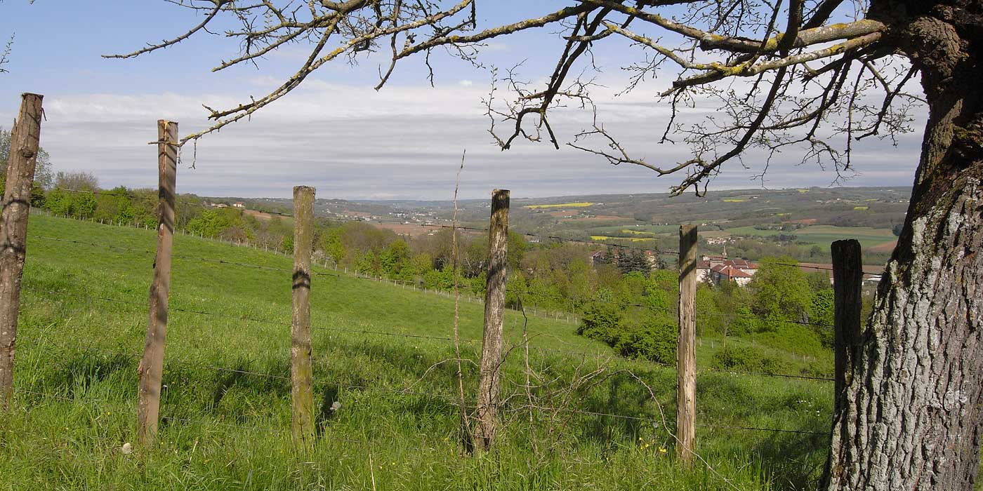 Een indruk van het landschap in Châteauneuf.